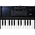 Roland Boutique K-25M Portable Midi Keyboard